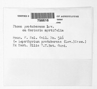 Image Associated With the Occurence